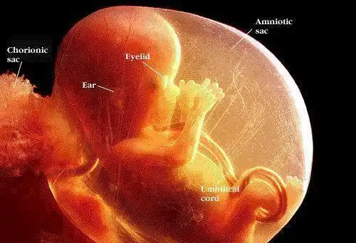 孕期一定要左侧睡这3种睡眠方式要禁止可导致胎儿发育迟缓