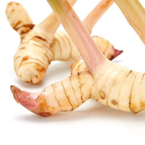 泰国南姜新鲜500g高良姜泰式冬阴功汤调料火锅生姜