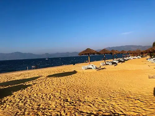 2023月亮湾湿地公园游玩攻略,抚仙湖畔的月亮湾湿地公园里.