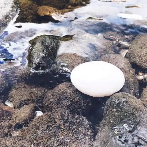 农家生态散养连城白鹭鸭蛋30枚装