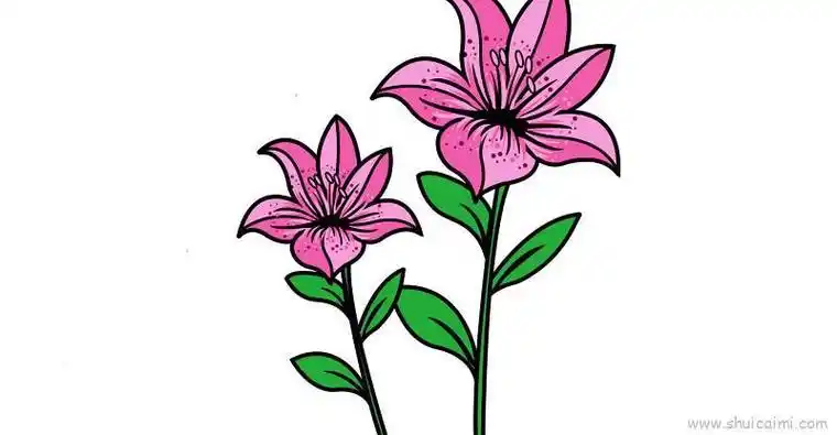 花的简笔画少儿