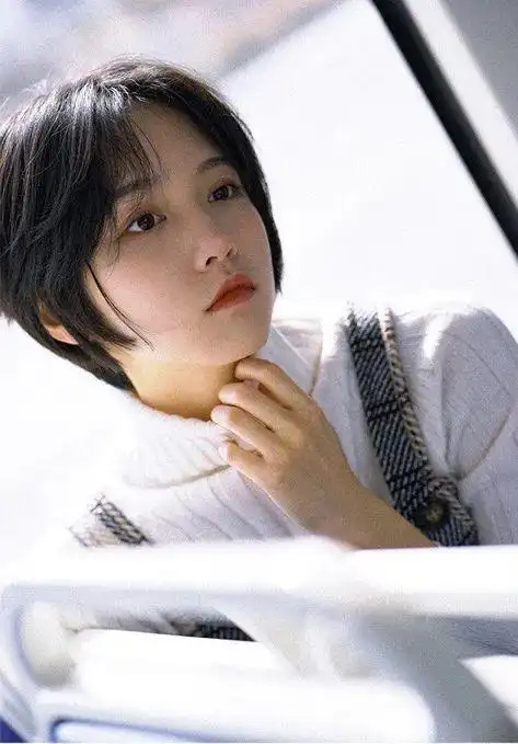 审美集诸葛大力成果写真集