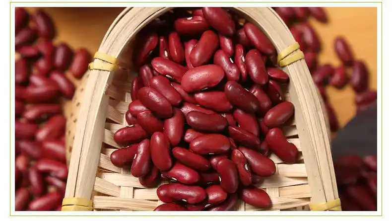 东北英国红芸豆 红腰豆大红豆五谷杂粮袋装25公斤