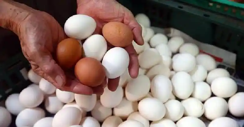 这样吃鸡蛋,分分钟致癌,大多数老年人还不知道,经常给孩子食用