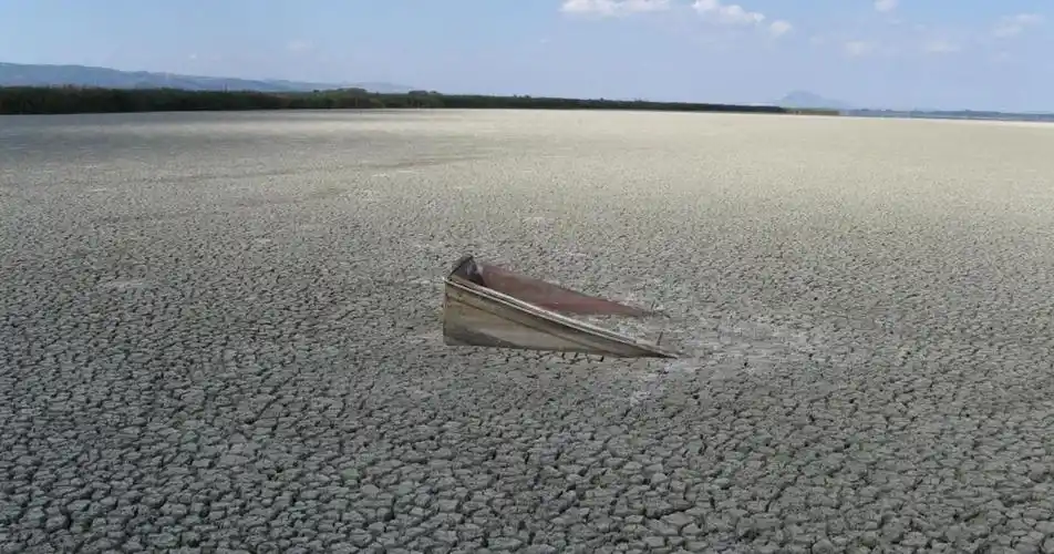 生物多样性丧失比以往任何时候都快