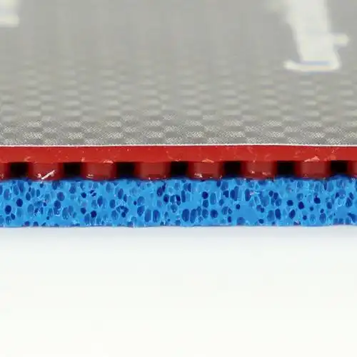 多尼克 蓝火m1 12091 donic bluefire m1