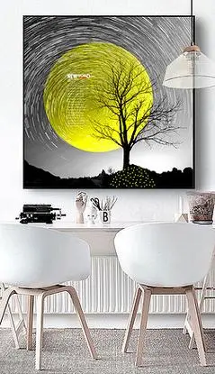 北欧简约黑白抽象唯美星空欧式装饰无框画