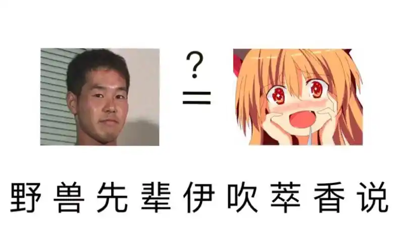 [恶臭の论证]野 兽先辈伊吹萃香说(红茶昏睡)_哔哩哔哩_bilibili