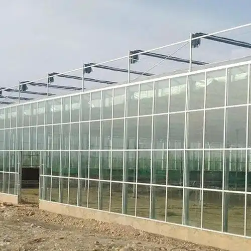 玻璃大棚供应玻璃温室大棚