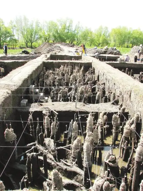 图为考古人员在海门口遗址发现的干栏式建筑遗址. 新华社发