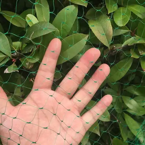 优质耐用的绿色挤压防鸟网为果树 - buy 重型果园鸟网,鸟网价格,樱桃