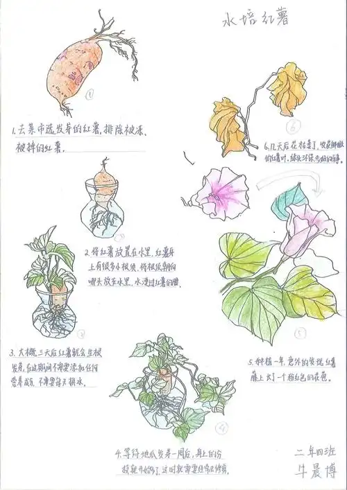 生物多样性看山西自然笔记大赛作品展一