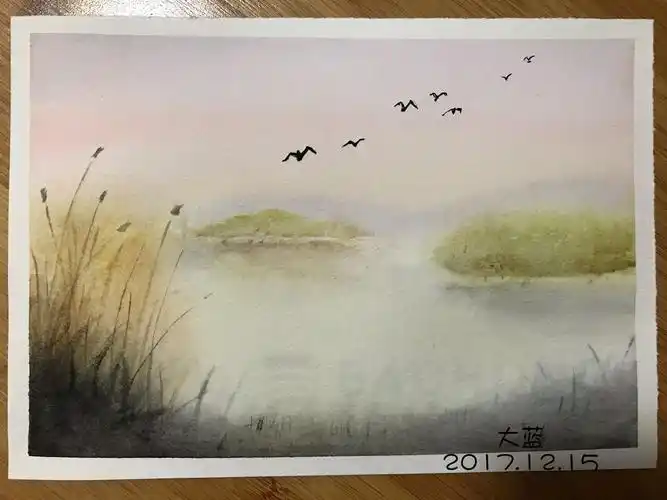 kaiyafafa水彩团练群大雁主题周作业展示