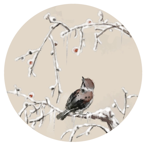 中国风水墨画麻雀梅花雪景图