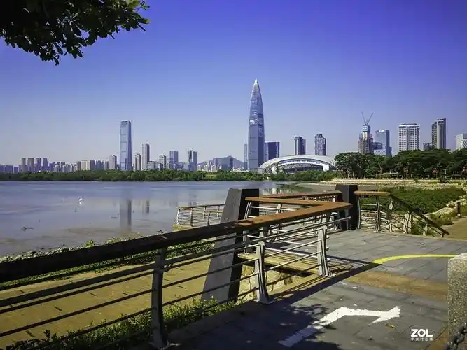 深圳湾红树林公园掠影