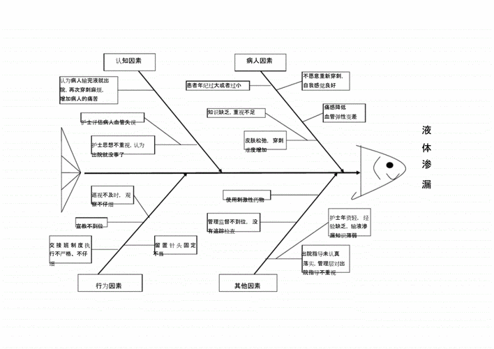 输液,输血渗漏根因分析及鱼骨图.doc