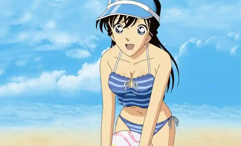 毛利兰(名侦探柯南)