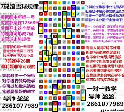 2019幸运飞艇最新7码8码技巧规律看懂走势56码公式滚雪球教学