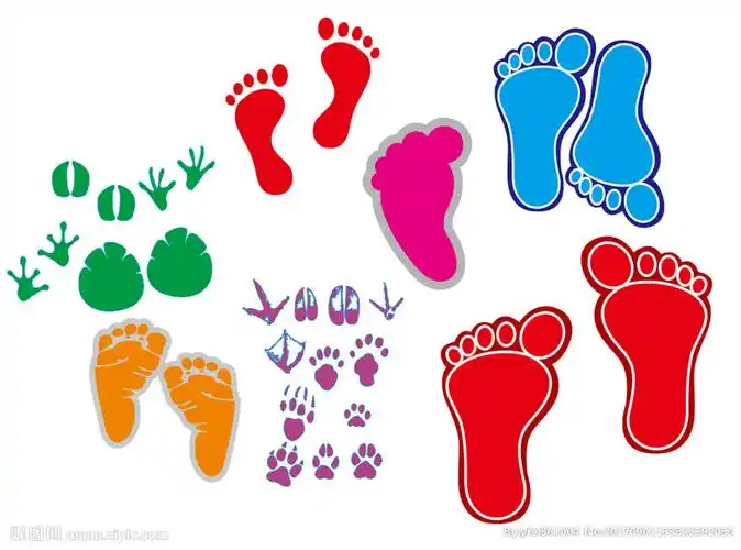 矢量脚板图片