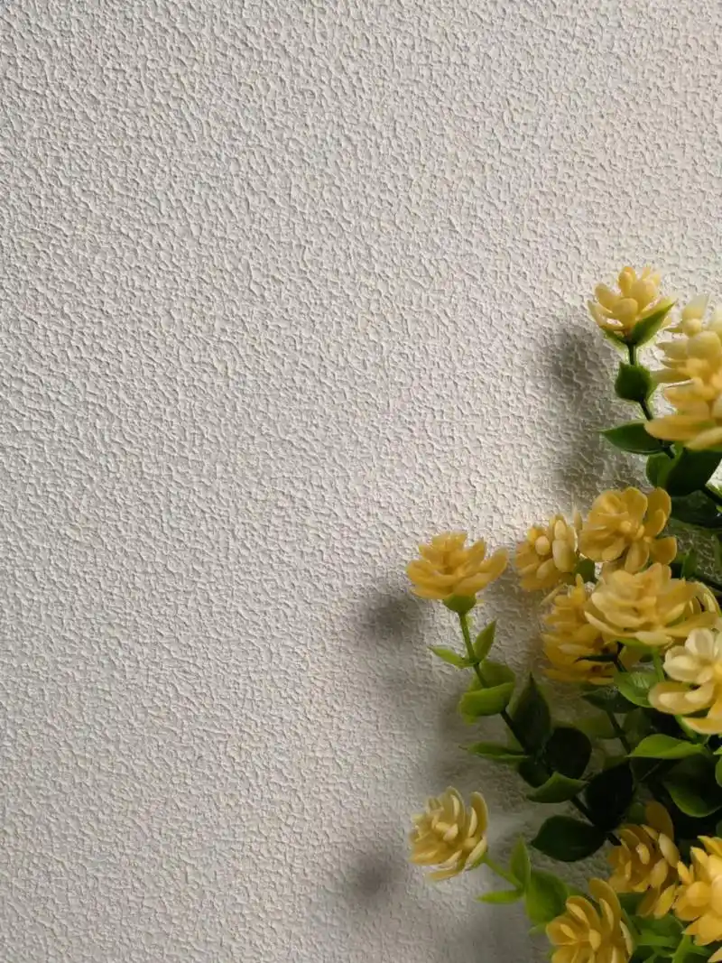 肌理漆拉毛漆质感简约风.#肌理漆效果图 #轻奢风墙面色推荐  - 抖音