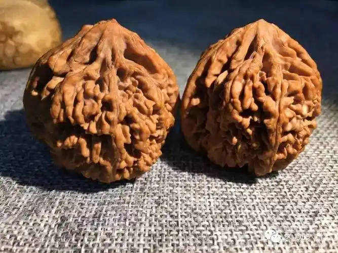 文玩核桃之【乾隆官帽】