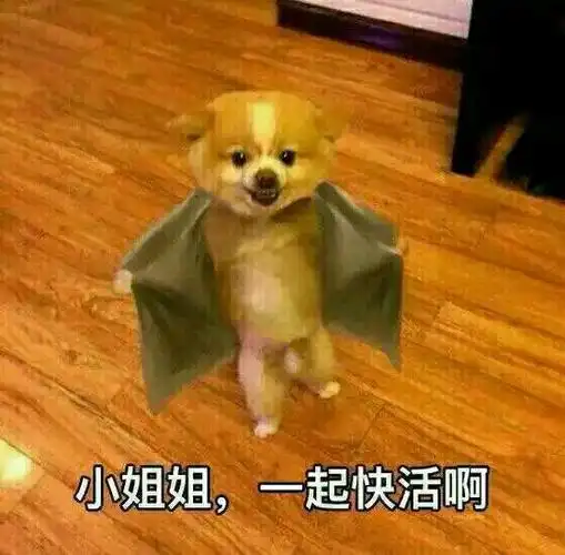 小姐姐一起快活啊