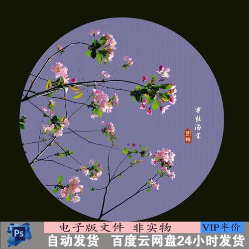 垂丝海棠图片海棠花素材海棠花树海棠背景海棠摄影一枝花卉素材