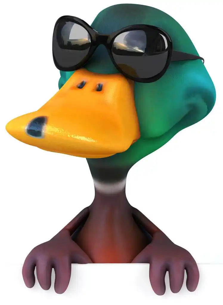 好玩的太阳镜的鸭子