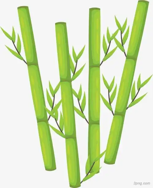 卡通竹子矢量图下载png素材透明免抠图片-节日元素-三元素3png.com