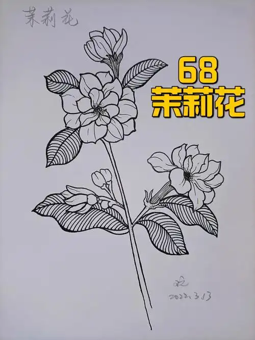新手入门的手绘线稿步骤 #临摹打卡 《一笔一世界》120-68茉莉花