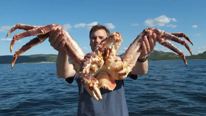 【蟹中之王】挪威希尔克内斯冰上捕捉帝王蟹 品尝之旅(希尔克内斯