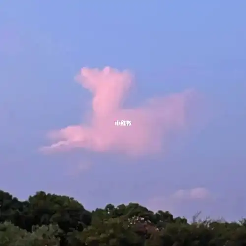 这几天上海的晚霞特别漂亮,火烧云一样.