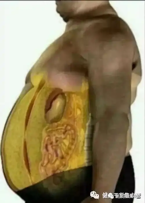 内脏脂肪大肚子久减不下的元凶