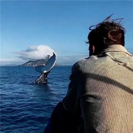 男生对女生说梅子熟了什么意思-多特图文教程