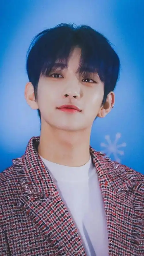 手机壁纸seventeen洪知秀