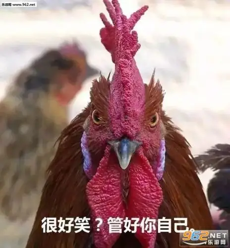一个能打的都没有搞笑公鸡表情图片-本鸡注定踩在你头上公鸡表情包