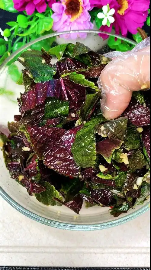 美食#凉拌紫苏叶吃过吗?开胃下饭,吃一口就停不下来-度小视