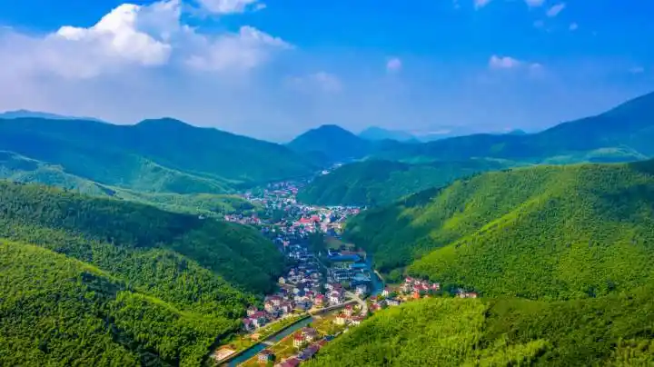 长兴煤山镇乡贤乡企兴乡村发挥优势奔共富