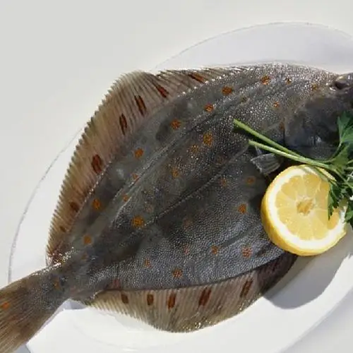 批发供应 【鲜聚】丹麦进口 野生花斑鲽鱼 300-500克/条10公斤/箱图片