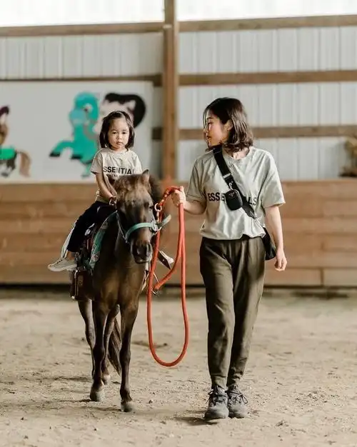 langley |温哥华带娃骑小马懵圈初体验