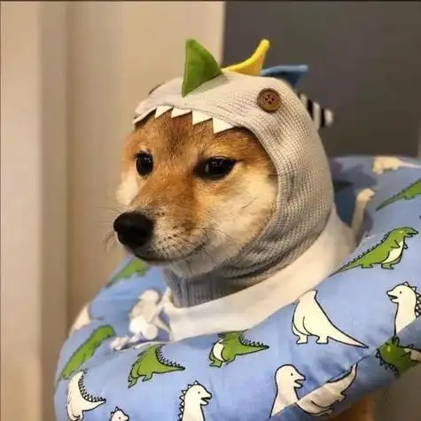 男生适合的沙雕头像 男生头像图片大全 -【爱个性】