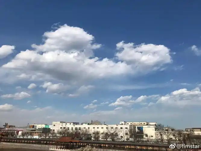 今天的天气很不错,云都很漂亮.