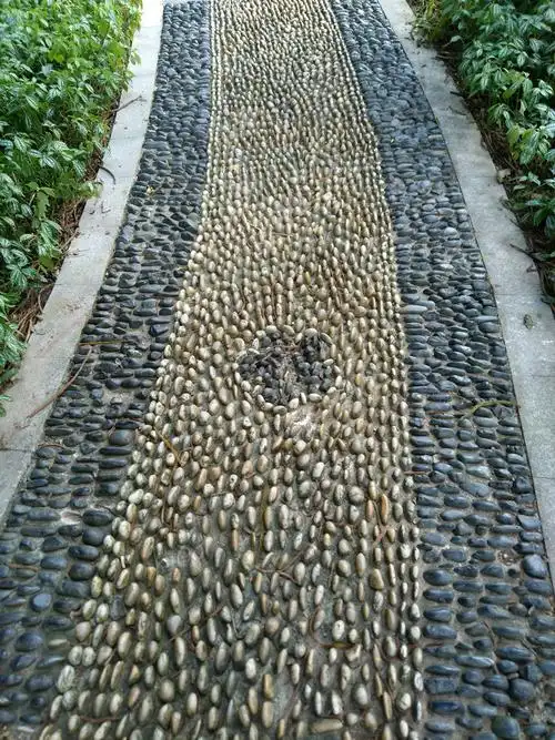 小路,是这样的鹅卵石路.羊城城市里公园之外,也难得见到裸露的土地.