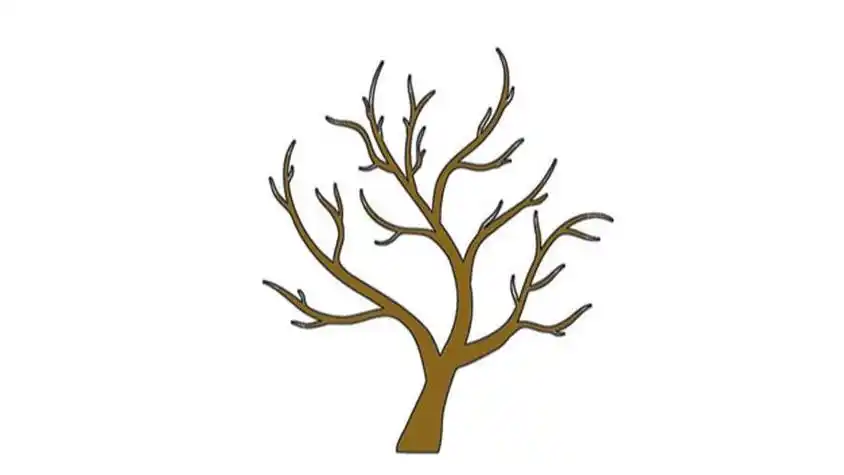 大树树干简笔画图