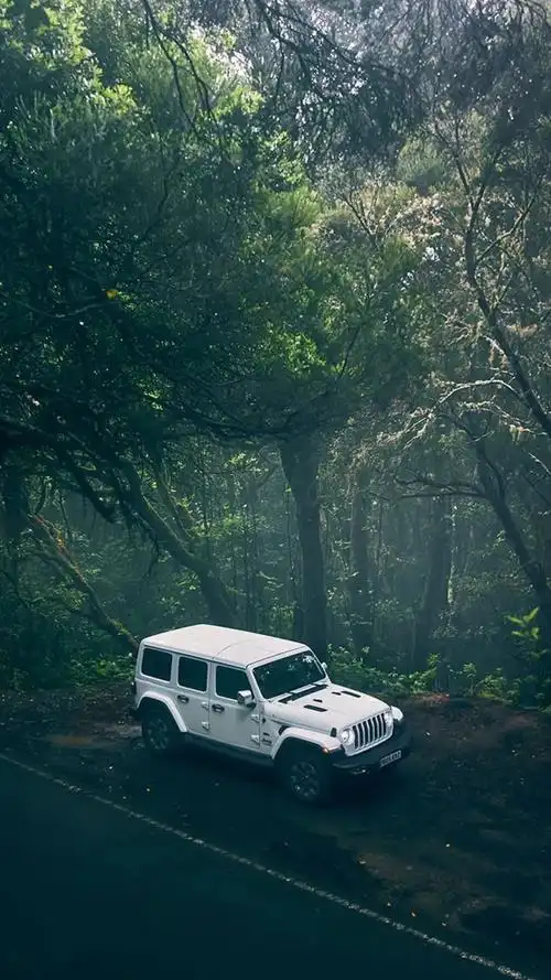 壁纸|这些jeep牧马人也太美了吧