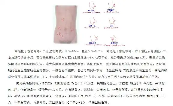 腹部触诊超实用