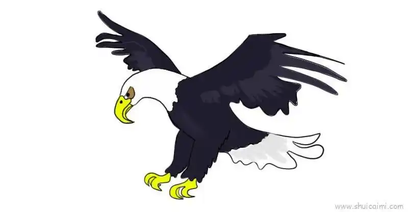 4,最后涂上颜色就可以了.