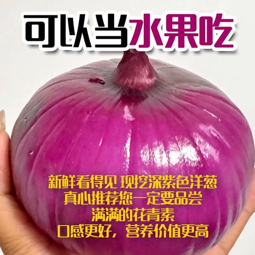 2024新鲜洋葱山东圆葱农家自种蔬菜水果圆葱蔬菜脆甜生吃自种紫皮