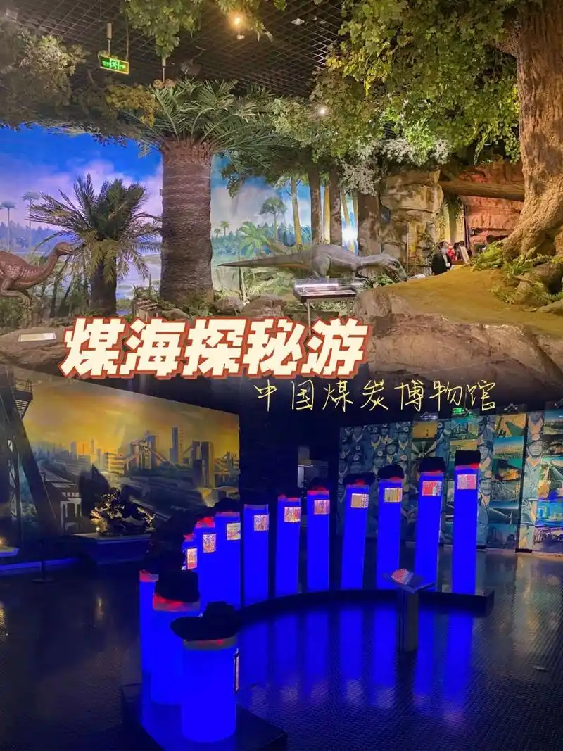 0615 太原遛娃|中国煤炭博物馆(aaaa) 94煤炭在世界能源中占有