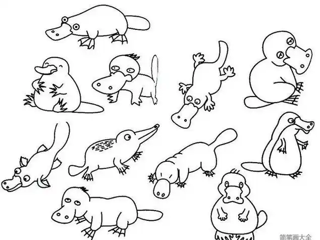 笔画小动物动起来简笔画胎生动物生长过程图简笔画动物图画简笔画word